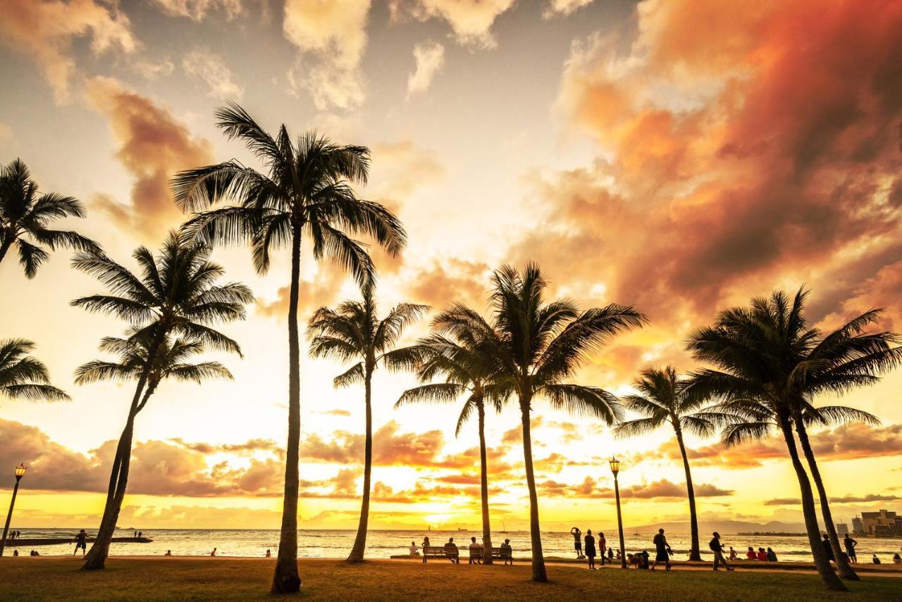 Kuhio Village 806 Honolulu Buitenkant foto